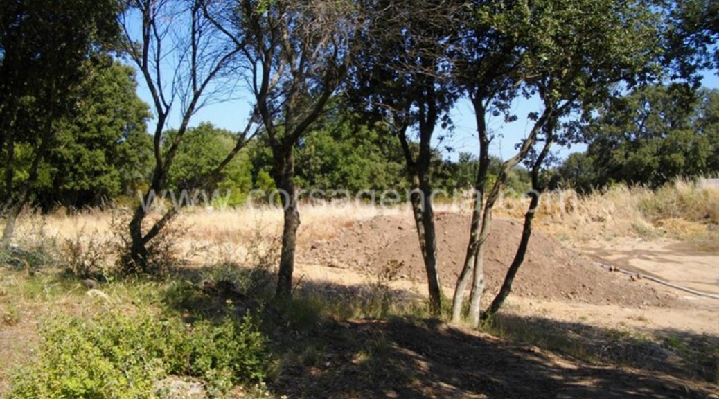 Terrain à vendre Occhiatana