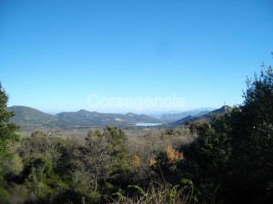 Terrain constructible plaine du Regino à Muro en Balagne