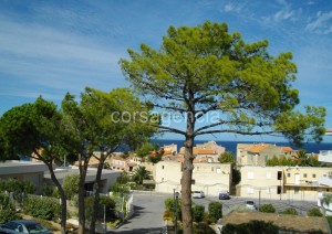 appartement t3 algajola balagne corse (5)