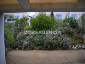 vente appartement T3 avec piscine lozari balagne corse